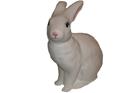 Heico Bunny Rabbit, valaisin
