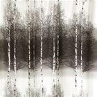 Vallila Koivikko, sivuverho 140 x 240 cm