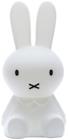 Mr Maria Miffy S, valaisin