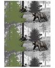 Vallila Karhunkierros 150 cm kangas