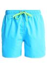 Arena FUNDAMENTALS SOLID Uimashortsit turquoise/leaf