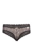 ODD MOLLY UNDERWEAR & SWIMWEAR Printed Lace Oddity Hipster MULTI