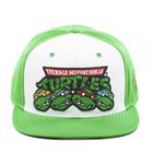 Teenage Mutant Ninja Turtles, lippis