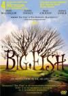 Big Fish, elokuva