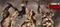 Legends of Persia, PC-peli – kuva 1