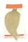 Whiting Pro-Grade Cape, perhonsidontamateriaali – kuva 5