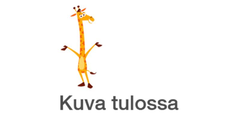 Halli Galli, korttipeli
