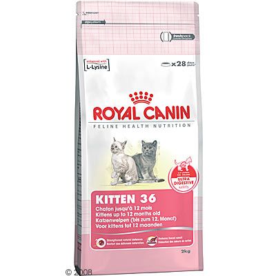 Royal Canin Kitten 36, 2 kg, kissanruoka