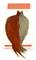 Whiting Pro-Grade Cape, perhonsidontamateriaali – kuva 7