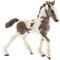 Schleich 13774 TINKER FOAL – kuva 8