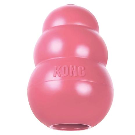 Kong Puppy