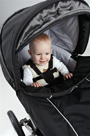 Baby Dan, Harnesses Lux