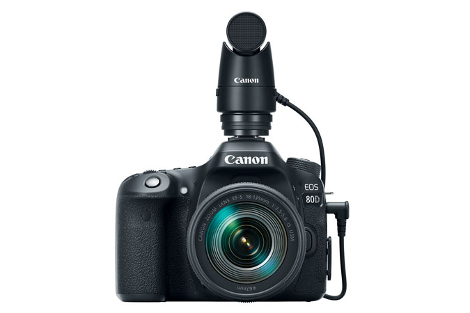 CANON DM-E1, mikrofoni