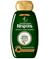 Garnier Respons Mythic Olive 250 ml shampoo – kuva 2