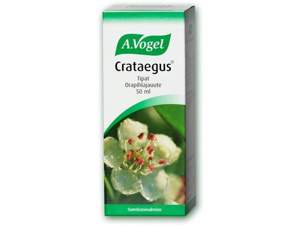 A.Vogel Crataegus