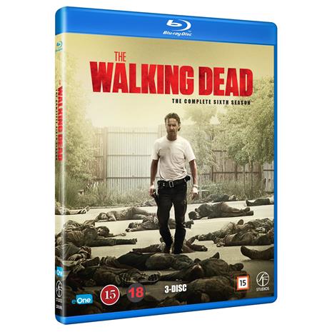 The Walking Dead: Kausi 6 (Blu-ray), TV-sarja