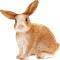 SCHLEICH 13827 RABBIT – kuva 4