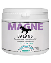 Equibalans Magnebalans 440 g magnesiumrae