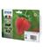 Epson 29 MULTIPACK B/Y/C/M, mustekasetti – kuva 7