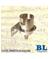 BL BA15s ruuviliitin lampunkanta – kuva 2