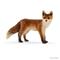 Schleich 14782, kettu – kuva 8