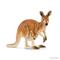 Schleich 14756, kenguru – kuva 3