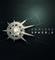 Endless Space 2, PC-peli – kuva 4