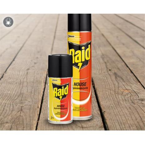 Raid House Hyönteistorjunta, 150 ml