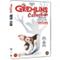 Gremlins 1-2, elokuva – kuva 6