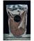 Chia de Gracia 400 g kanerva hevoselle – kuva 1
