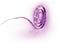 Philips myLiving 70102/31/P6, led-nauha 5 m, monivärinen – kuva 2