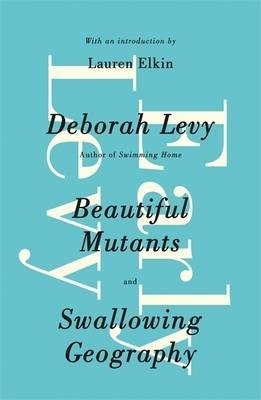 Early Levy (Deborah Levy), kirja
