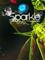 Sparkle 2, PC -peli – kuva 1