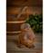 Tervattu 17 cm Sauna-akka – kuva 4