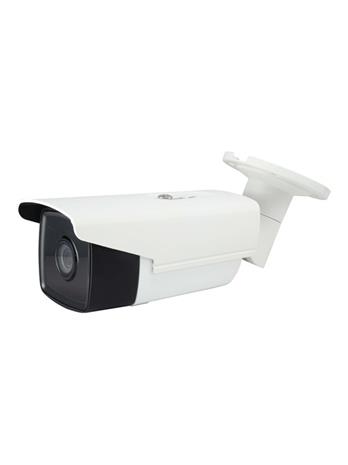 LevelOne FCS-3090, IP-kamera