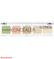 Catrice Allround Concealer peitevoidepaletti – kuva 6