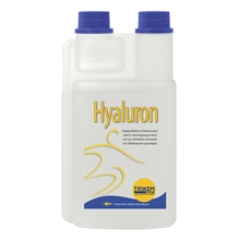 Hyaluron 500 ml