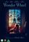 Wonder Wheel (2017), elokuva – kuva 3
