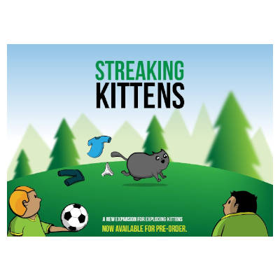 Exploding Kittens - Streaking Kittens Expansion