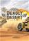 1943 Deadly Desert, PC -peli – kuva 1