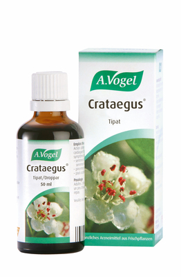 A.Vogel Crataegus