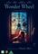 Wonder Wheel (2017), elokuva – kuva 6