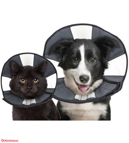 Zenpet Procone lemmikin kauluri