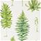 Fernery - 216633" "Tapetti – kuva 1