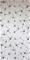 Dragonfly White - WP2165" "Tapetti – kuva 1