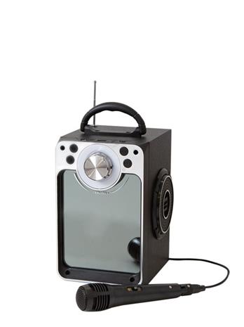 Karaoke Machine W/Bluetooth (30135)