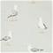 Shore Birds - DCOA216565" "Tapetti – kuva 1
