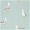 Shore Birds - DCOA216564" "Tapetti – kuva 1