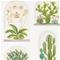 Terrariums - 216655" "Tapetti – kuva 1