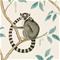 Ringtailed Lemur - 216665" "Tapetti – kuva 1
